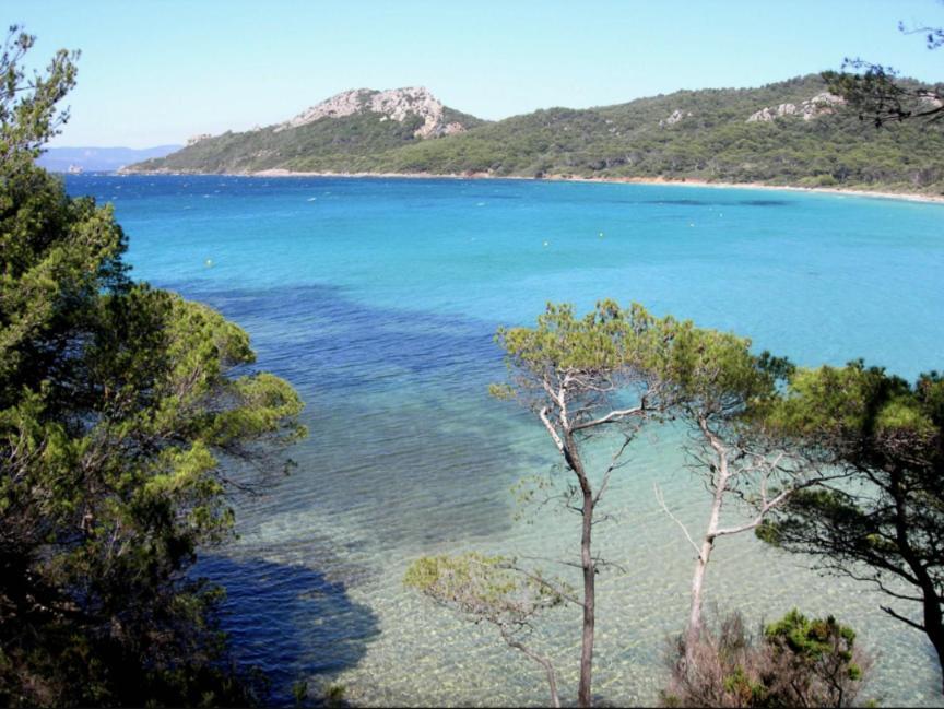 Superbe T2 Proche Des Plages Et Des Commerces Йер Экстерьер фото